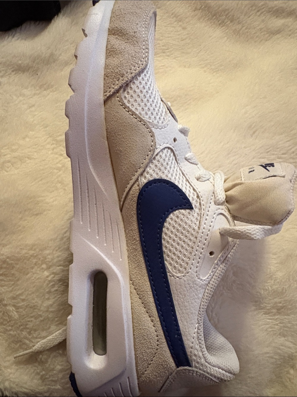 Nike Air White Sneaker with Navy Swoosh